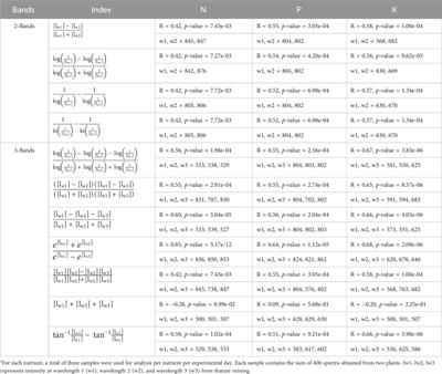 Early detection of N, P, K deficiency in Choy Sum using hyperspectral imaging-based spatial spectral feature mining